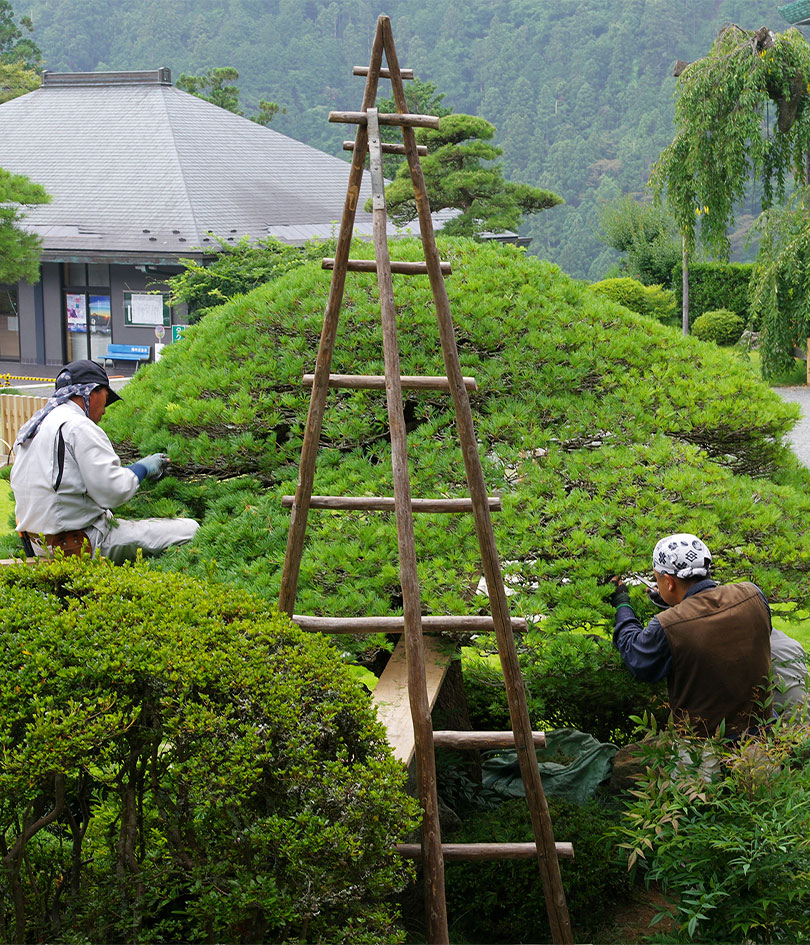 小規模から大規模まで対応。